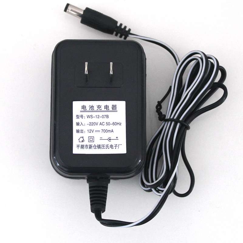 汪氏12v700ma童车充电器 12V电瓶电池充电器 12V700ma电源适配器
