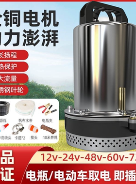 直流潜水泵电瓶车抽水泵小型家用农用12V48V60V72V伏电动车抽水机