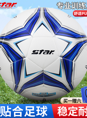 【达人同款】5号足球青少年新手入门比赛训练用球SB5495C-07