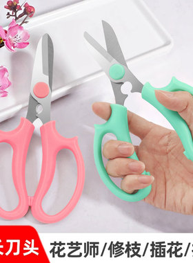花艺师插花专用剪刀修枝剪园艺修剪树枝花卉花枝盆景鲜花剪子工具
