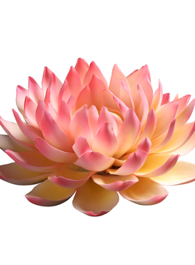 东方泥土 陶瓷莲 手工工艺品家居客厅电视柜装饰品 帝王莲