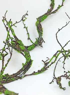 仿真青苔树藤枯藤装饰摆饰乾燥树枝藤蔓造景假藤条森系庭院绿植苔