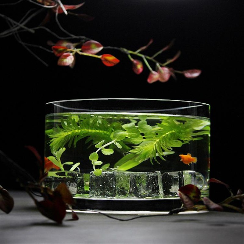 桌面小鱼缸圆形圆筒玻璃器皿高品质加厚透亮玻璃花瓶卧室装饰摆件