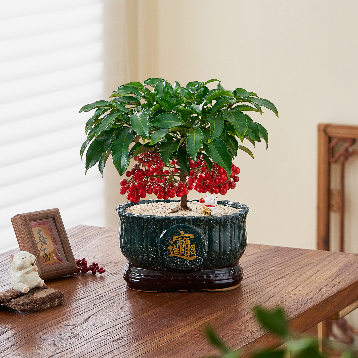 富贵籽盆栽黄金万两年宵花带果室内客厅喜庆好养花卉绿植净化空气,鲜花速递/花卉仿真/绿植园艺,绿植,淘宝优惠券,粉丝福利购,淘宝优惠卷