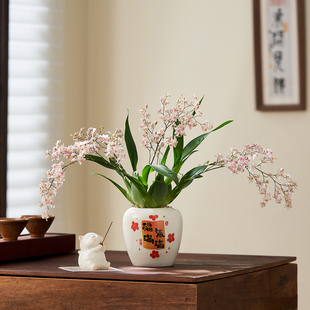 香水文心兰盆栽室内桌面耐寒绿植物梦香兰浓香型开花花卉净化空气