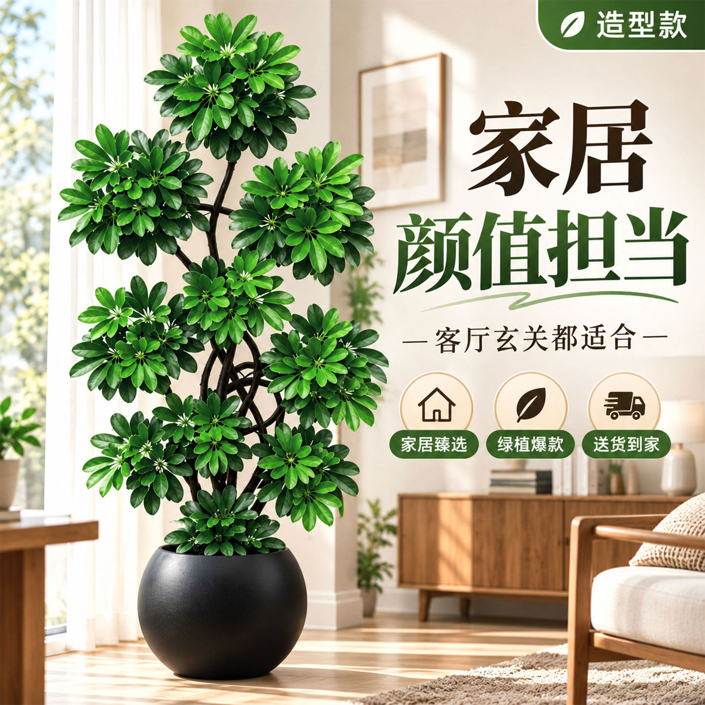 鸭脚木客厅大盆栽室内办公室造型绿植客厅开业送礼鸭掌木大型植物