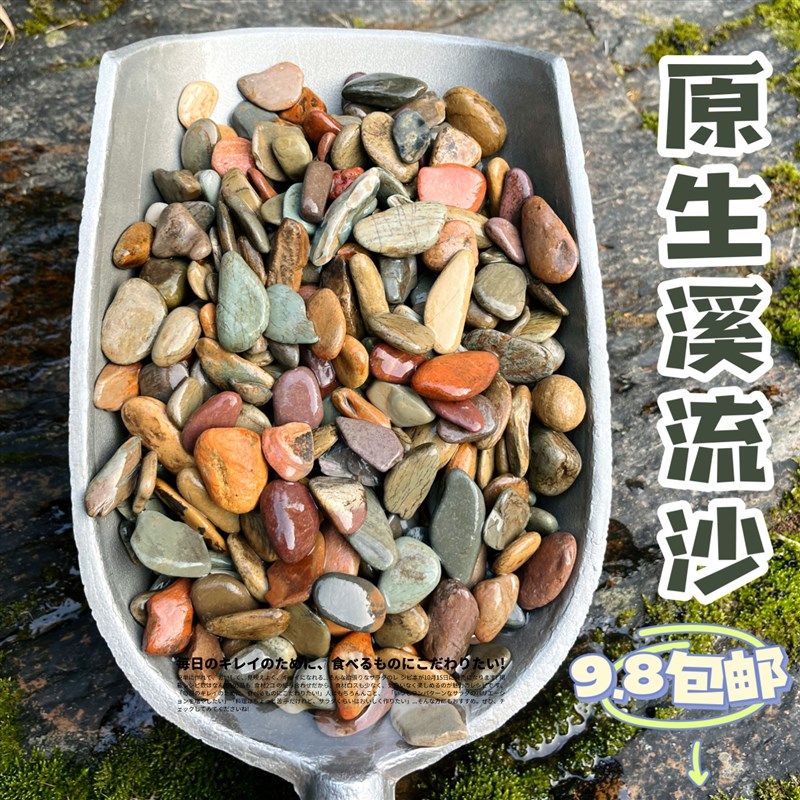 天然原生溪流沙鱼缸造景底砂七彩石虾虎鳑鲏鳍鱲雷龙水族生态装饰,农用物资,苗木固定器/支撑器,淘宝优惠券,粉丝福利购,淘宝优惠卷