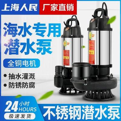 德国进口上海人民潜水泵220V380V不锈钢清水泵农用大流量高扬程家