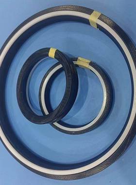 TSE/SEG进口TECNOLAN高压油封28*36*6.4 32*40*9 36*48夹布密封圈