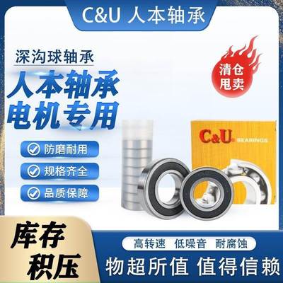 轴承6301 6302 6303 6304 6305 6306 6307 6308 6309 6310-RZ