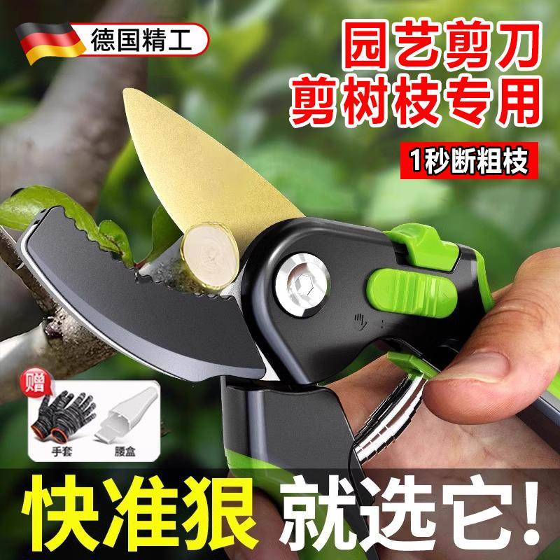 园艺剪刀剪树枝专用果树修枝园艺剪刀园林修剪花艺木枝条粗枝剪刀