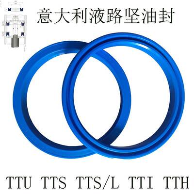 TECNOLAN意大利进口TTI/L轴用主油封45*60*11.5 液压油缸杆密封圈