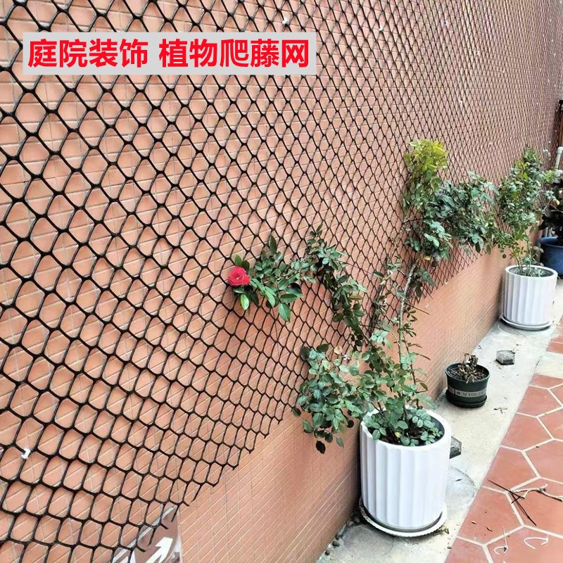 月季爬墙网格花架 植物爬藤网  绿萝攀爬网塑料网 园艺花墙网