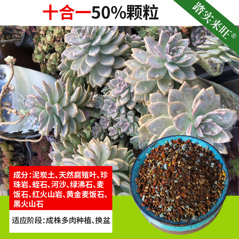 多肉植物营养土多肉颗粒土小苗土叶插土养肉土种多肉土多肉土