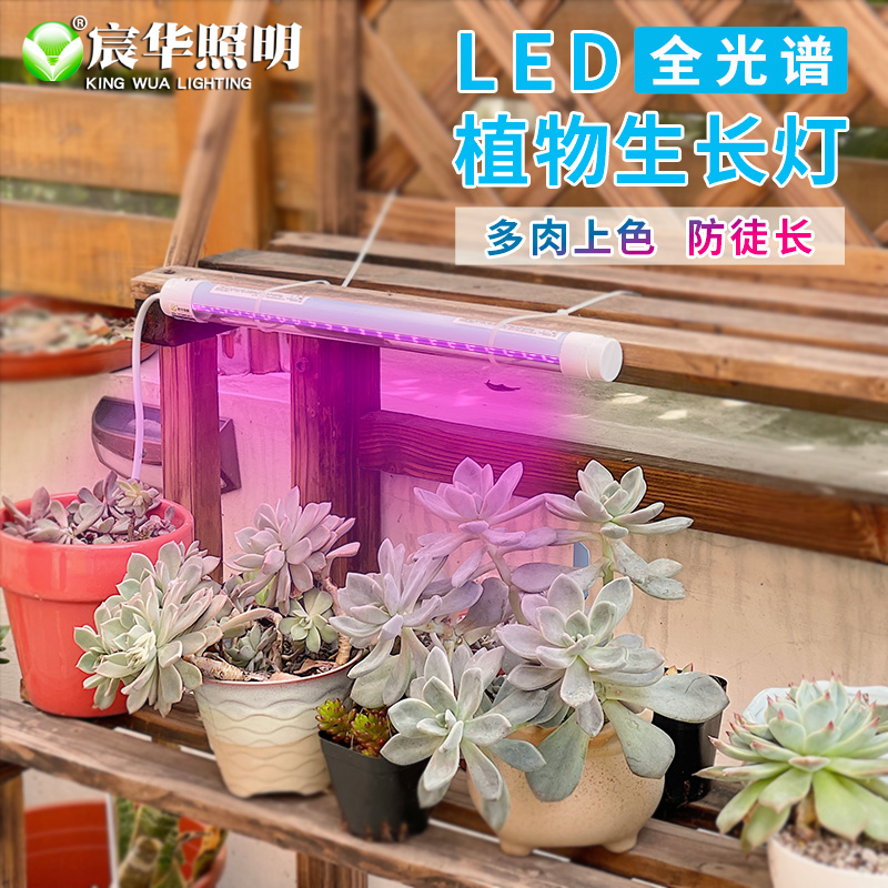 宸华植物生长多肉补光灯仿太阳全光谱花卉上色育苗家用防徒室内