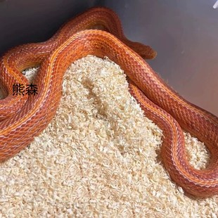 熊森爬宠蛇垫材木屑宠物蛇垫料蛇类饲养箱专用垫材柔软吸湿无尘