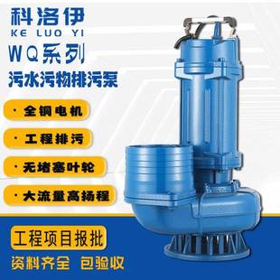 抽水泵农田浇地灌溉潜水泵大流量高扬程排污泵家用220V泥浆污水泵