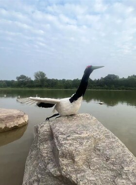 仿真动物丹顶鹤摆件展翅飞翔仙鹤摆件白鹤丹顶鹤白鹭模型手工艺品