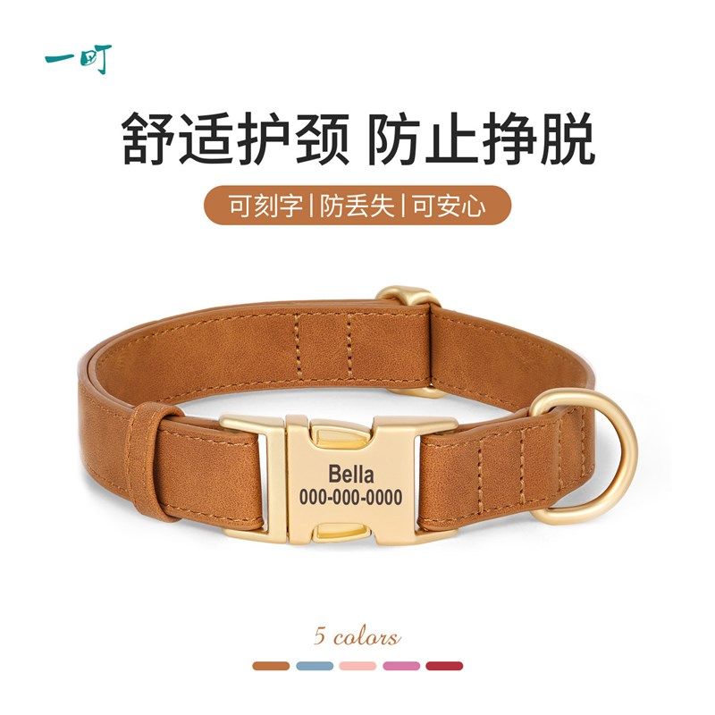 狗狗项圈金属扣刻字防丢失宠物狗狗脖圈小型犬外出遛狗项圈牵引绳,宠物/宠物食品及用品,项圈/肩带,淘宝优惠券,粉丝福利购,淘宝优惠卷