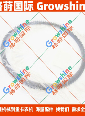 4JG1，4LE2齿圈8-94419602-1，8944196021