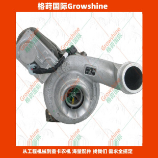 1832666C91 进口增压器12639880001