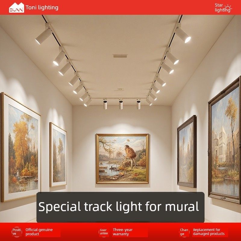 特殊的Led轨道射灯为壁画,超明亮的聚光灯导轨射灯,没有布线布线,,家装灯饰光源,明装射灯,淘宝优惠券,粉丝福利购,淘宝优惠卷