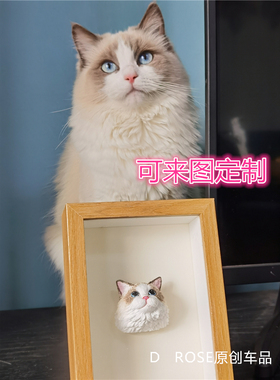 宠物猫咪定制室内家居相框v摆件布偶英短美短加菲手绘宠物纪念饰