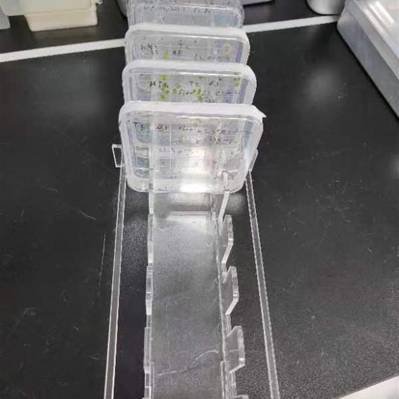 有机玻璃培养皿架10/5孔竖放1010cm/1313cm100*100mm