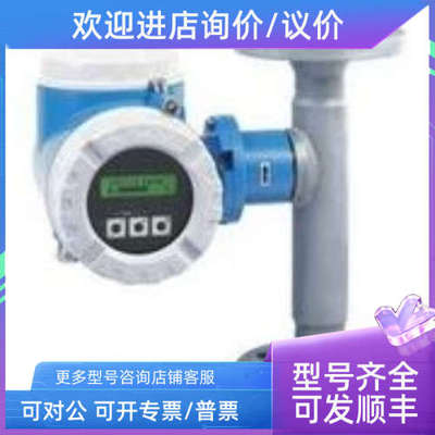议价电磁流量计 53P15-EF0B1AA0AHAA  E+H