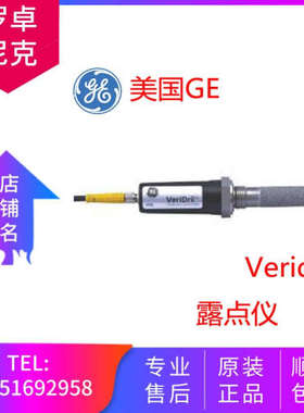 议价GEVeridri露点仪高精度湿度仪露点变送器温湿度计水分测量仪