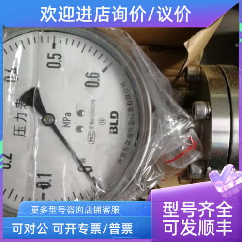 议价BRIGHTY北京布莱迪BLD半钢压力表YTH-150.AOYTH-100.BO