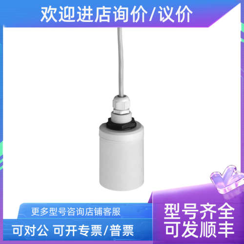 议价E+H声波液位计探头 FDU91-RG2AA 恩德斯豪斯Endress+Hauser