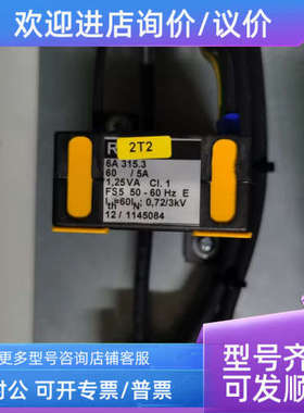 议价REDUR互感器 6A 315.3 60/5A