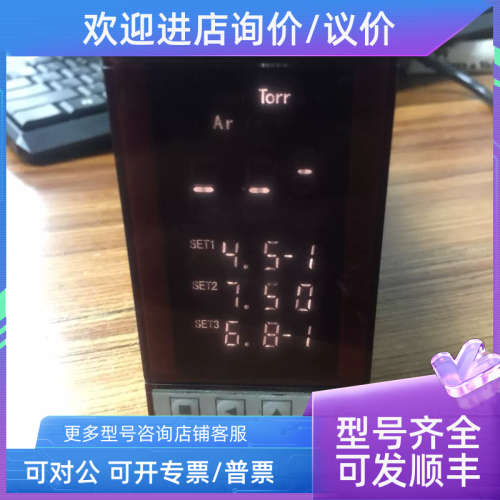 议价TAMAGAWA DD-100电阻真空计