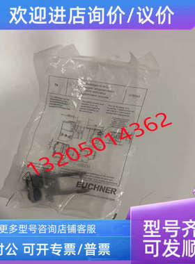 议价BETAETIGER-X-WQ 079740 安士能EUCHNER插钥匙 安全门锁把手
