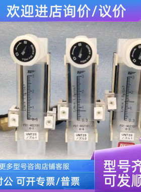 议价TOKYO KEISO/东京计装PFA流量计F01-402101 239-69506 0.3-3L