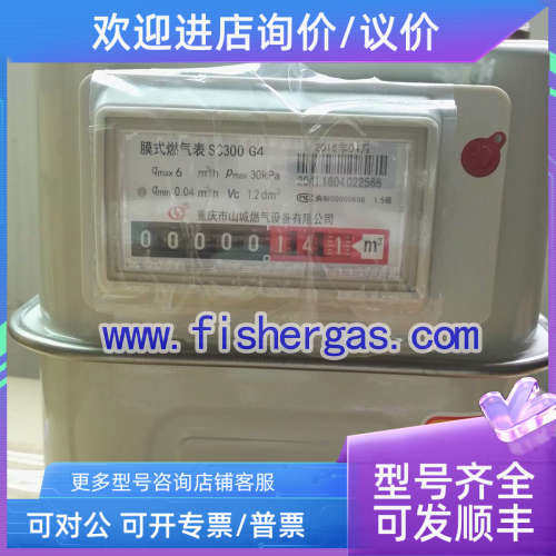 议价限时抢购重庆山城G4皮膜表G4燃气表家用皮膜表低压计量表