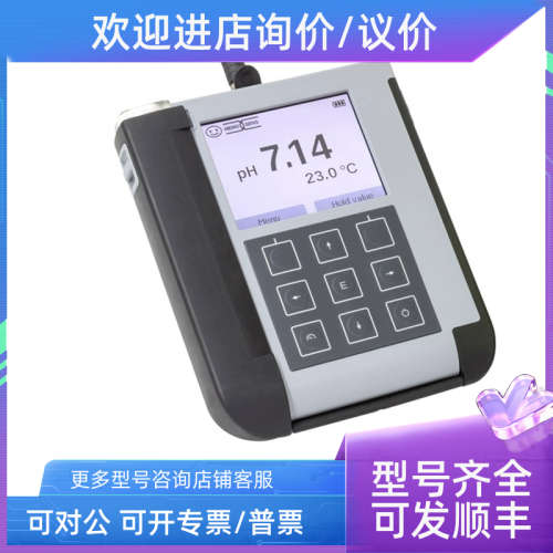 议价E+H便携式水分析仪手操器pH计 CYM290-A1+DA Endress+Hauser