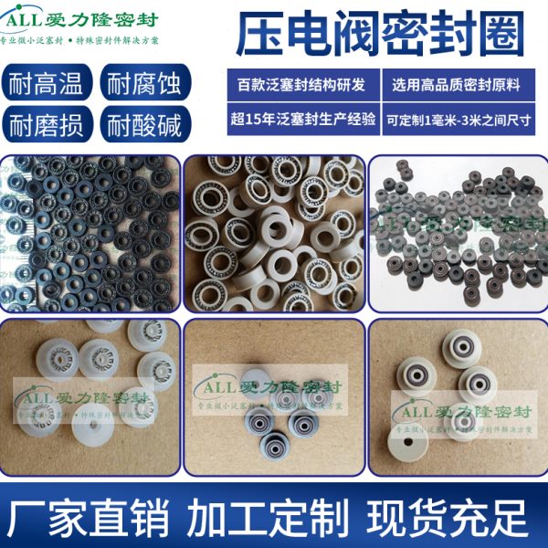 VERMES压电阀密封圈 微密斯1007067 轴心APJ1016密封圈