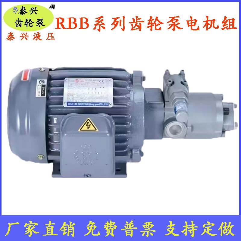 RBB-204Y/210/212/216/220Y摆线齿轮油泵RBB-206/208Y Y2冷镦带阀
