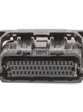 48ZRO-B-2A适用于汽车线束连接器车用接插件含端子DJ74811-1.0-21