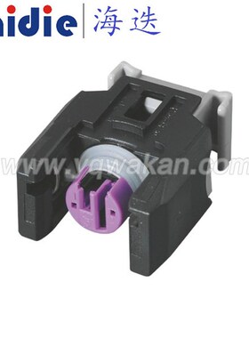 DJ7026C-1.5-21黑色2孔适用于长城喷油嘴汽车接插件 03P973702