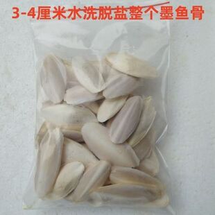 鹦鹉宠物磨牙3-4cm水洗脱盐墨鱼骨纯天然无添加