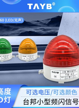 LED尖头频闪烁亮指示信号灯TB-60警示灯220V24V红绿黄色LTE-3072