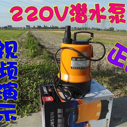 100W家用潜水泵 抽水泵 抽水机 小型潜水泵 农用水泵一寸 220V