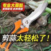 大蒜专用剪刀剪蒜神器蒜胡剪子蒜头剪蒜须杆洋葱洋蒜修电动切