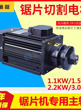 夹锯片电机主轴 石材雕刻机木材机主轴模具低速主轴 切割电机220V