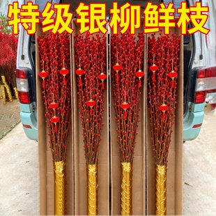 银柳真花鲜枝客厅摆件耐寒年宵花红色干花枝室内招财水培装饰花束