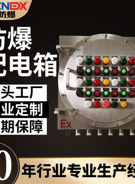 不锈钢IIC防爆配电箱照明动力箱接线仪表按扭箱防爆控制箱柜