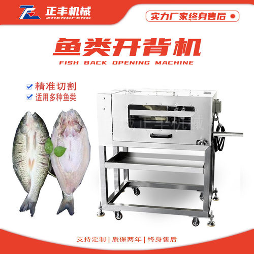 定制商用杀鱼宰鱼机 清江鱼鲤鱼草鱼中间分半机 全自动鱼类开背机